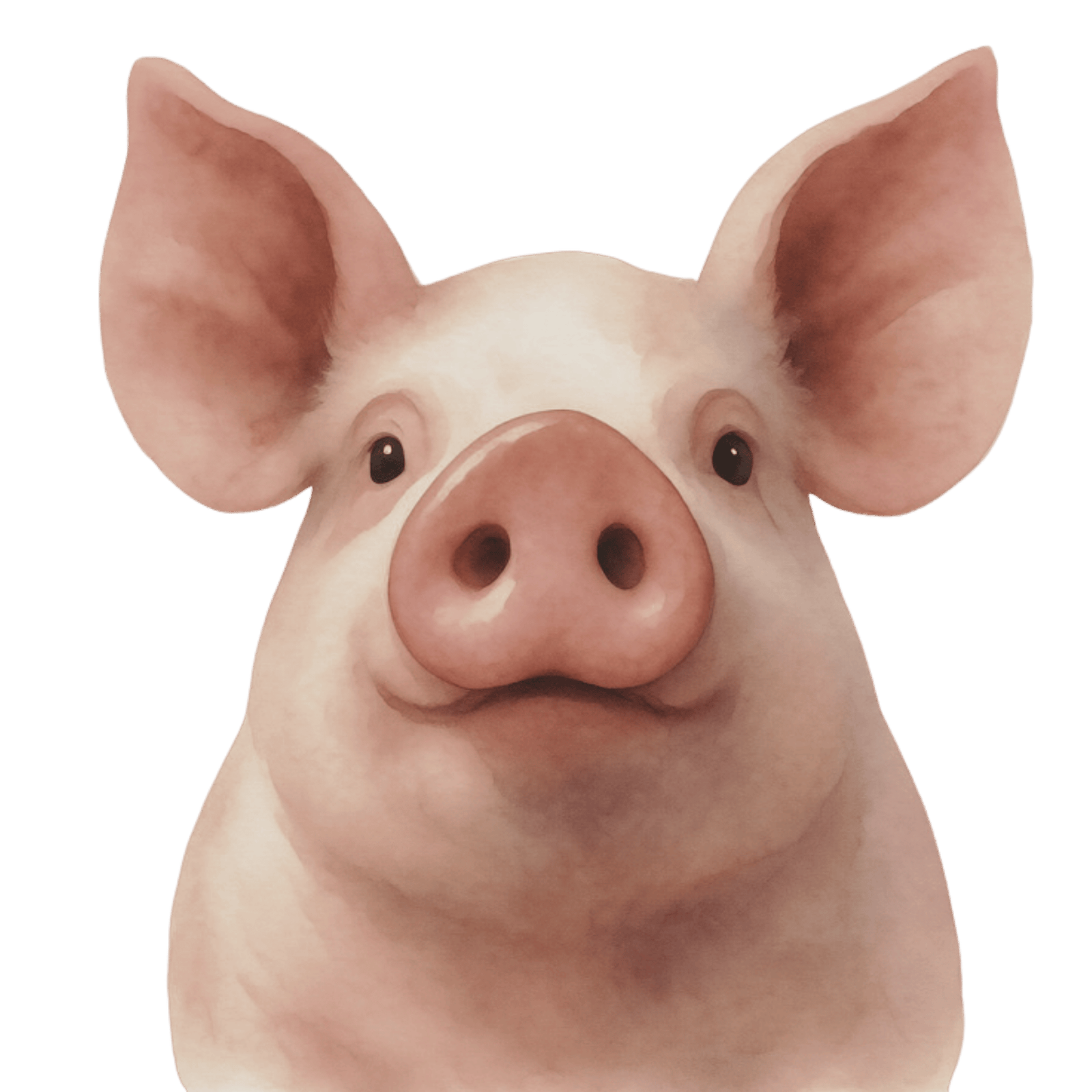 PLUGA